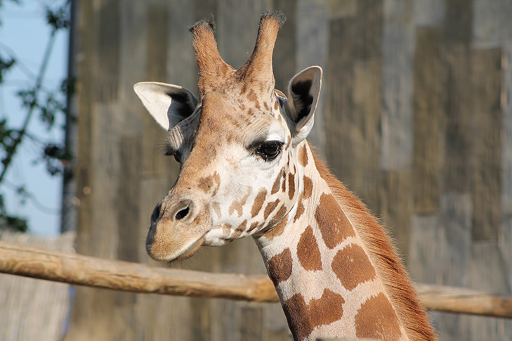 TERRA NATURA MURCIA