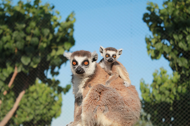 TERRA NATURA MURCIA