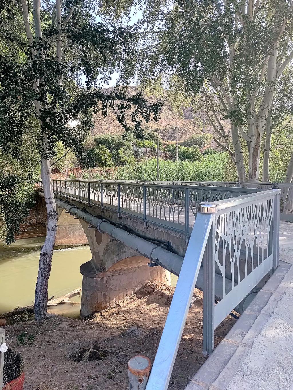 PUENTE AVENIDA CONSTITUCI�N